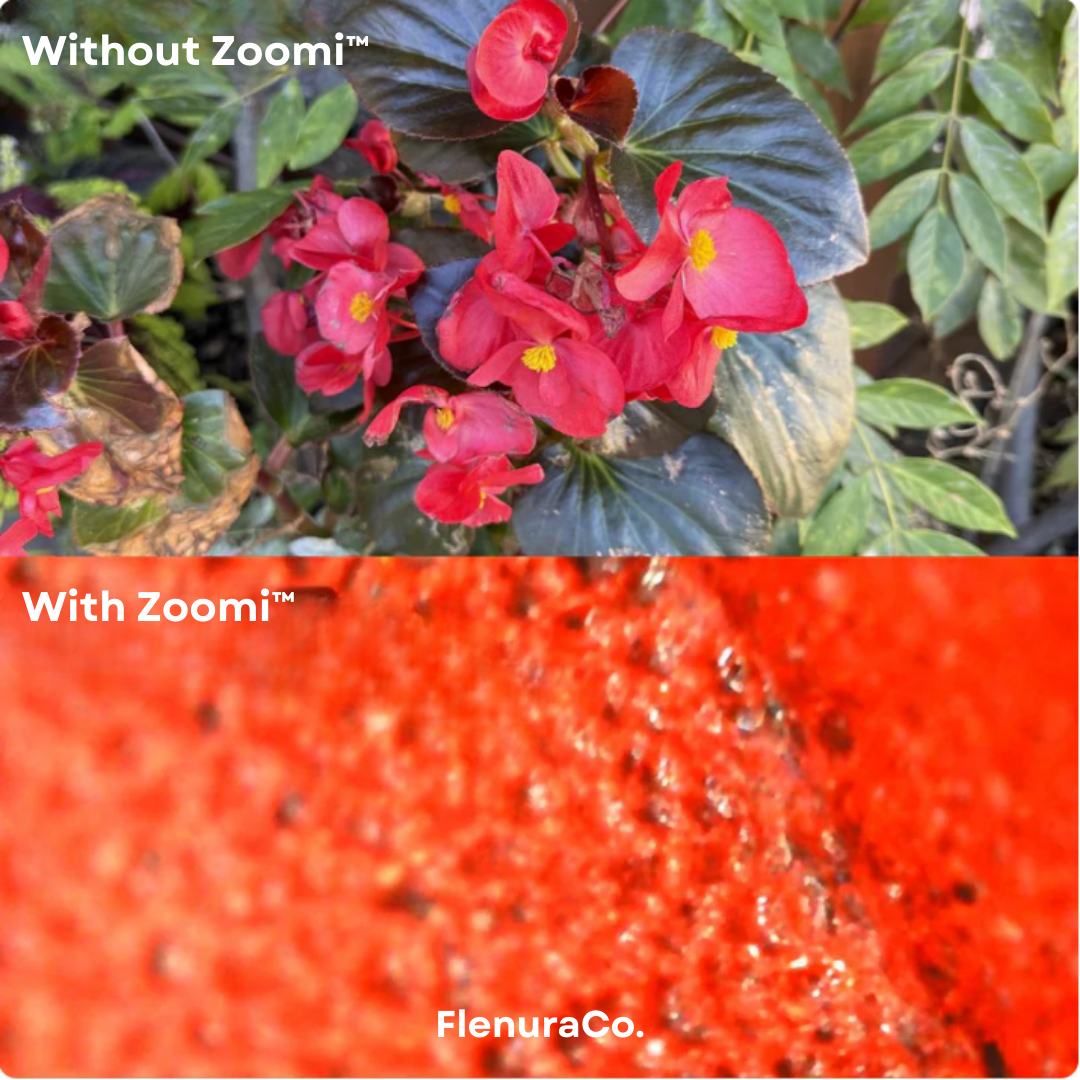 Zoomi™ Digital Kids Microscope