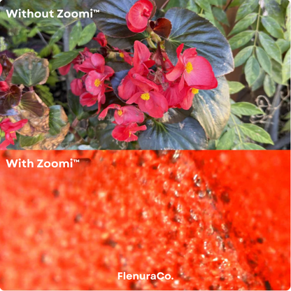 Zoomi™ Digital Kids Microscope